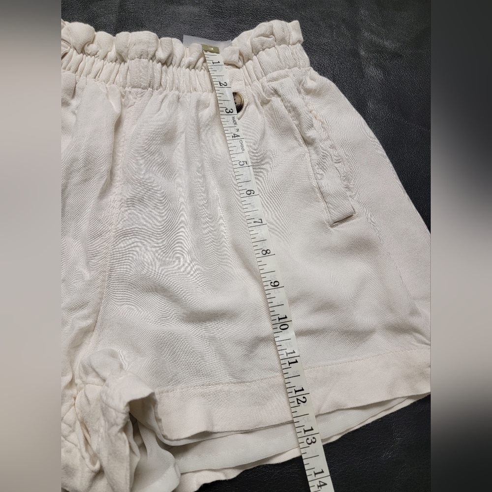 American Eagle Shorts - Picture 12 of 12